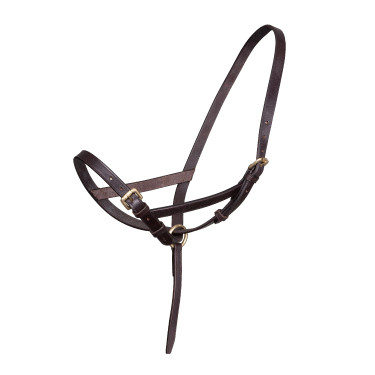 Licol poulain en cuir Shires Velociti Gara Marron