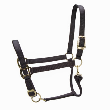 Licol réglable Premium Shires Arma