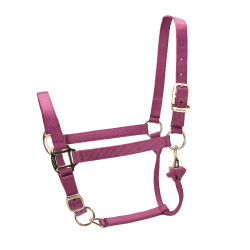 Licol réglable Premium Shires Arma Bordeaux Licol réglable Premium Shires Arma Bordeaux