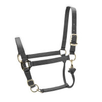 Licol réglable Premium Shires Arma Noir Licol réglable Premium Shires Arma Noir
