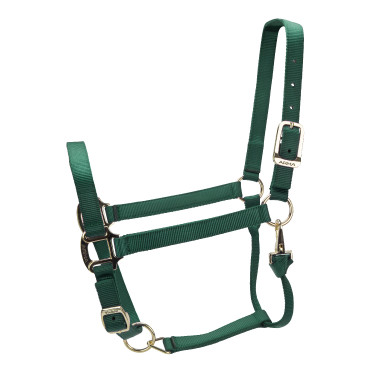 Licol réglable Premium Shires Arma Vert chasseur