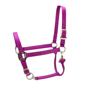Licol réglable Premium Shires Arma Framboise Rouge