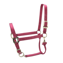 Licol réglable Premium Shires Arma Rouge