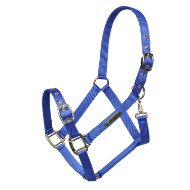 Licol réglable Shires Arma Bleu Licol réglable Shires Arma Bleu