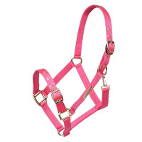 Licol réglable Shires Arma Rose Licol réglable Shires Arma Rose