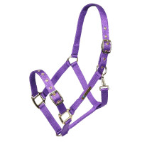 Licol réglable Shires Arma Violet