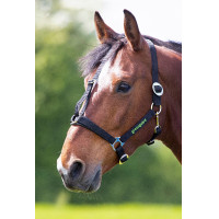 Licol Shires Greenguard Noir