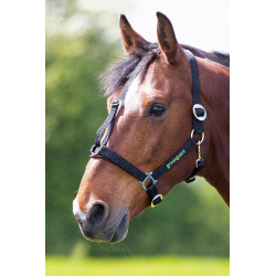 Licol Shires Greenguard