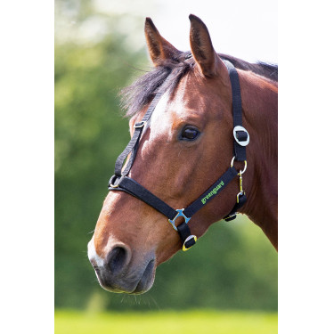 Licol Shires Greenguard