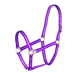 Licol Shires Wessex Violet / lilas