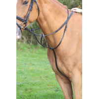 Martingale à anneaux Shires Velociti Gara Noir