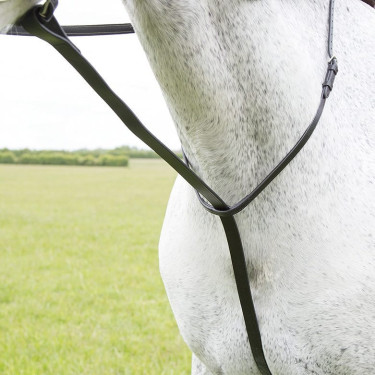 Martingale fixe Shires Velociti Gara Noir