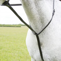 Martingale fixe Shires Velociti Gara Noir