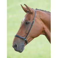 Muserolle allemande Shires Velociti Gara