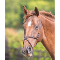 Muserolle croisée mexicaine Shires Velociti Gara