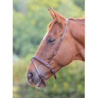Muserolle française flash Shires Velociti Gara
