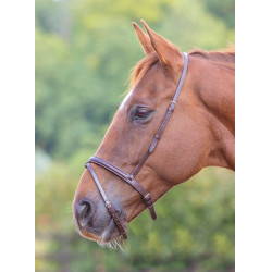 Muserolle française flash Shires Velociti Gara