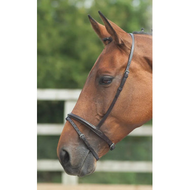 Muserolle française flash Shires Velociti Gara