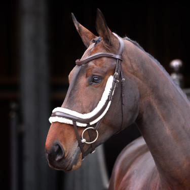 Muserolle française incurvée polaire Shires Velociti Rapida Marron Muserolle française incurvée polaire Shires Velociti Rapida Marron