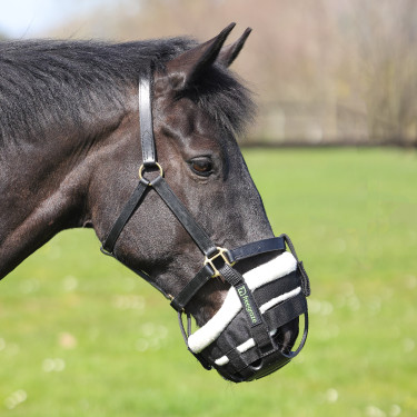 Panier de pâturage amovible AirFlow Deluxe noir Shires FreeGraze