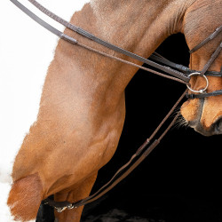 Rênes allemandes élastiques Shires Velociti Gara Marron