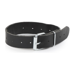 Sangle de rechange Shires Greenguard Noir