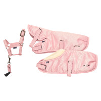 Jouets lot d'écurie HV Polo Ruby Toy Pony
