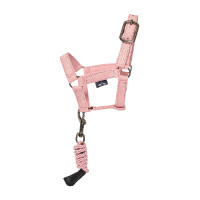 Jouets lot d'écurie HV Polo Ruby Toy Pony