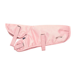Jouets lot d'écurie HV Polo Ruby Toy Pony