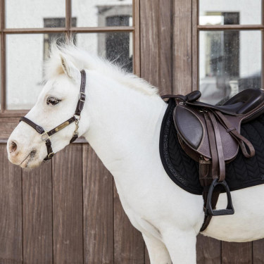 Tapis de selle Kentucky Glitter Stone dressage Noir