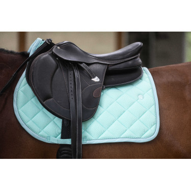 Amortisseur Lamicell Shock Absorb V22 Noir