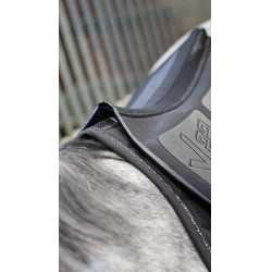 Amortisseur Lamicell Shock Absorb V22 Noir