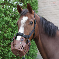 Panier de pâturage cheval 25 mm Lami-Cell | Équitation