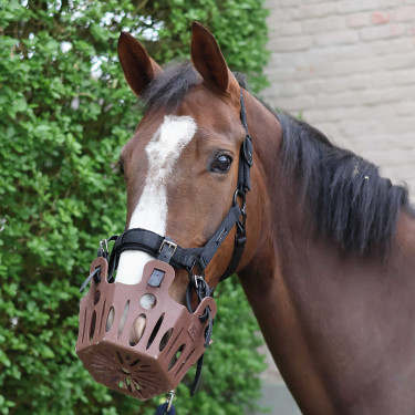 Panier de pâturage cheval 25 mm Lami-Cell | Équitation