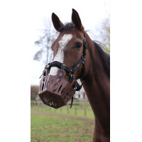 Panier de pâturage cheval 25 mm Lami-Cell | Équitation
