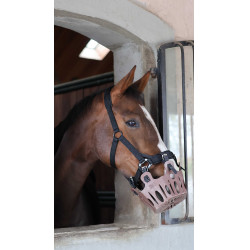 Panier de pâturage cheval 25 mm Lami-Cell | Équitation