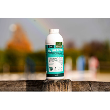 Complément respiratoire cheval Nutri’Respi Ravene