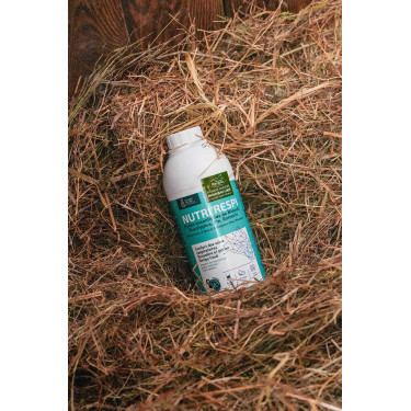 Complément respiratoire cheval Nutri’Respi Ravene