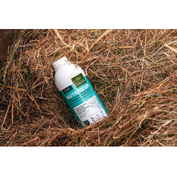 Complément respiratoire cheval Nutri’Respi Ravene
