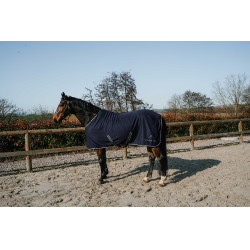Chemise Polaire Equithème EK-Heavy Glitter