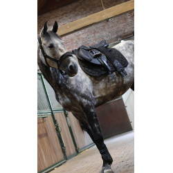 Tapis de selle Lamicell V22 Tapis de selle Lamicell V22