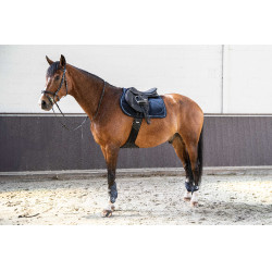 Tapis de selle Lami-Cell V22 Picasso