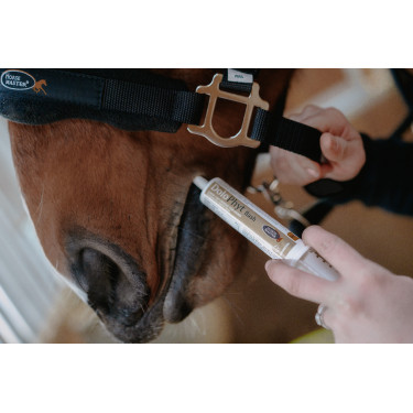 Seringue Dolophyt Flash Horse Master Seringue Dolophyt Flash Horse Master