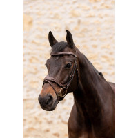 Bridon K by Equithème K-Kontour