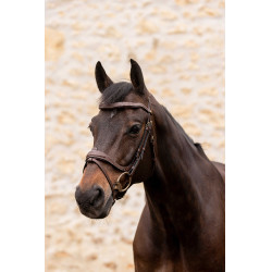 Bridon K by Equithème K-Kontour Bridon K by Equithème K-Kontour