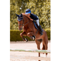 Bridon K by Equithème K-Kapture Marron