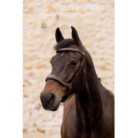 Bridon K by Equithème K-Konnect