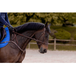 Bridon K by Equithème K-Konnect