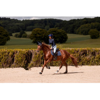 Rênes en cuir et caoutchouc K by Equithème K-Grip