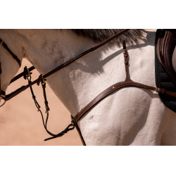 Flèche de martingale K by Equithème K-Kontour